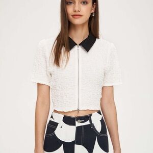 NWT Cider Zip Up Textured Crop Top